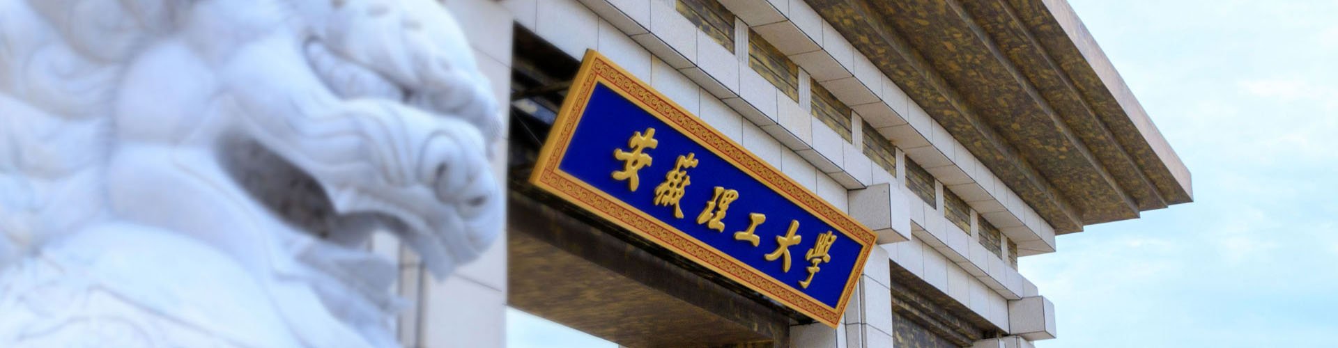 安徽省淮南市泰丰大街168号 威尼斯